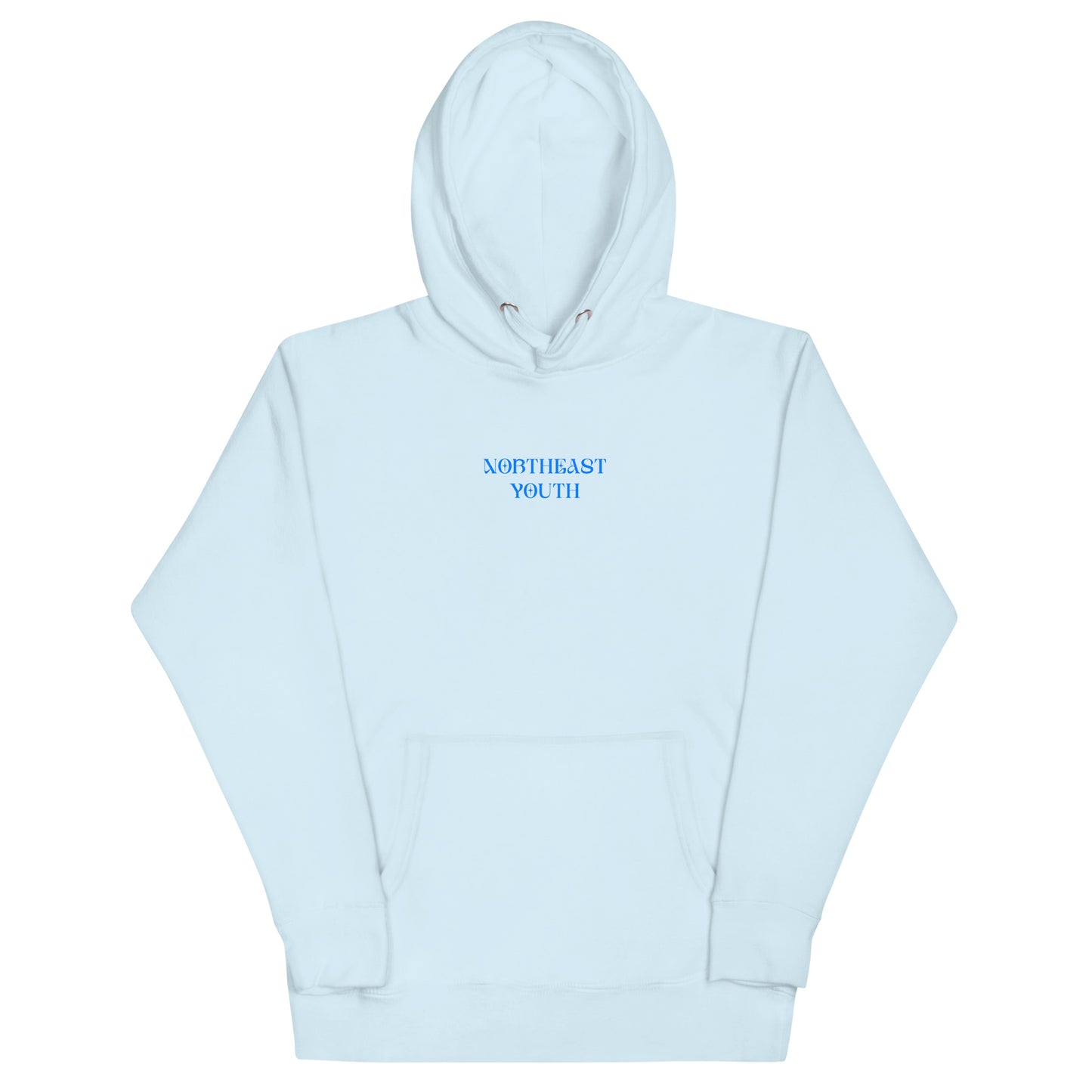 Northeast Youth - You Belong Here - Unisex Hoodie (Blue)